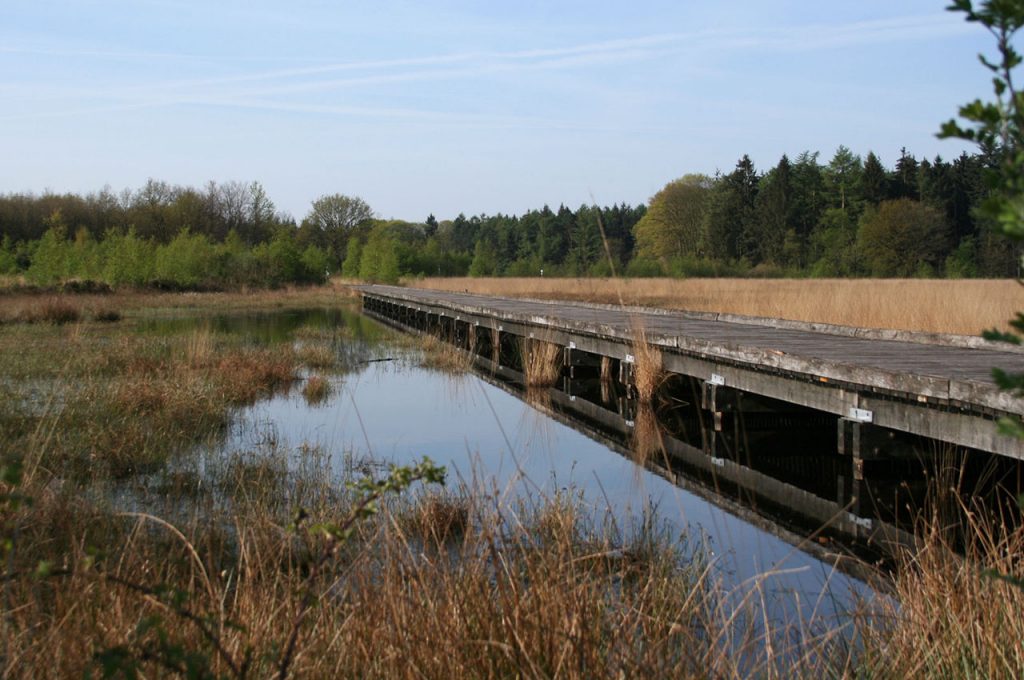 fietsbrug-Grolloo